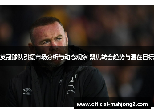 英冠球队引援市场分析与动态观察 聚焦转会趋势与潜在目标
