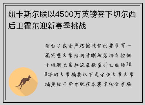 纽卡斯尔联以4500万英镑签下切尔西后卫霍尔迎新赛季挑战
